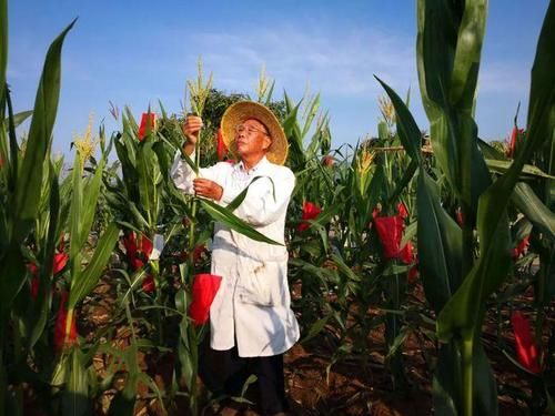 任鲁豫|蛰伏6年终圆梦想，6次主持春晚的任鲁豫，最大的遗憾是父亲的过世