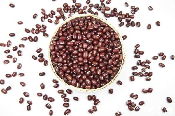 生活习惯|总是说湿气重,湿气到底都是从哪来的?看完,你就懂了