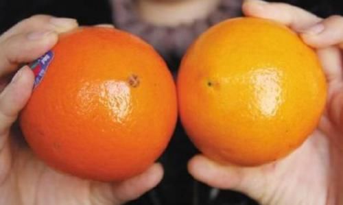 免疫力|“白血病”逐渐低龄化！孩子免疫力低，有的水果不要吃，你家有吗