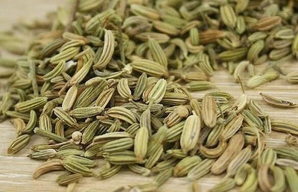 没事吃点茴香，5个好处登门拜访，不爱吃的朋友可惜了！
