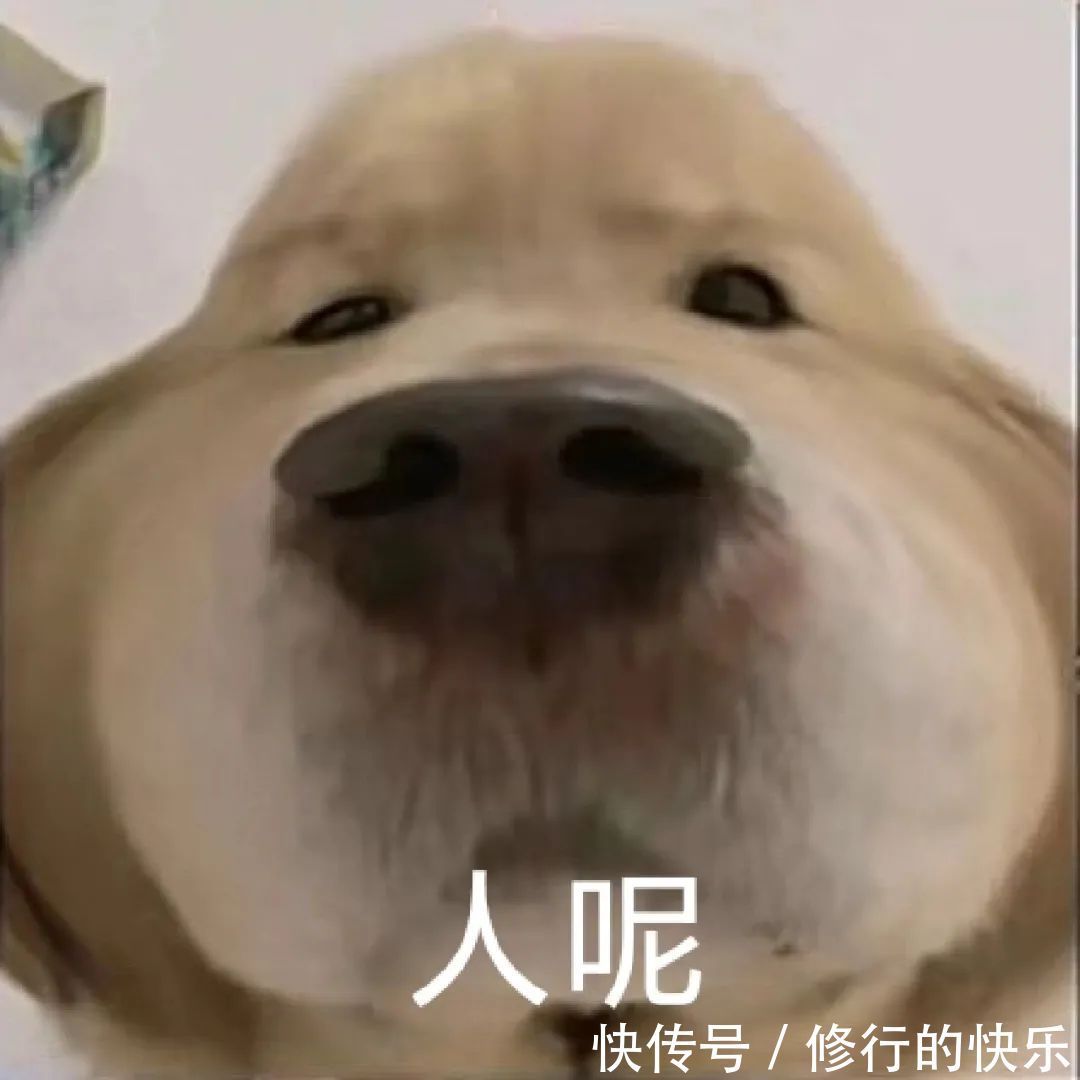 |搞笑表情包|来嘛~