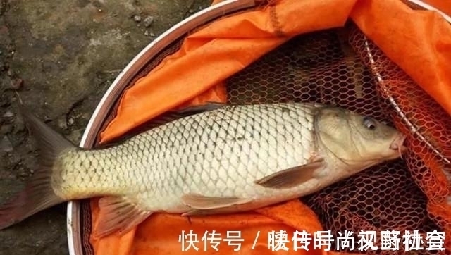 钓位|半天不上一条鱼,原来钓位选错了!这4处位置一定不要选