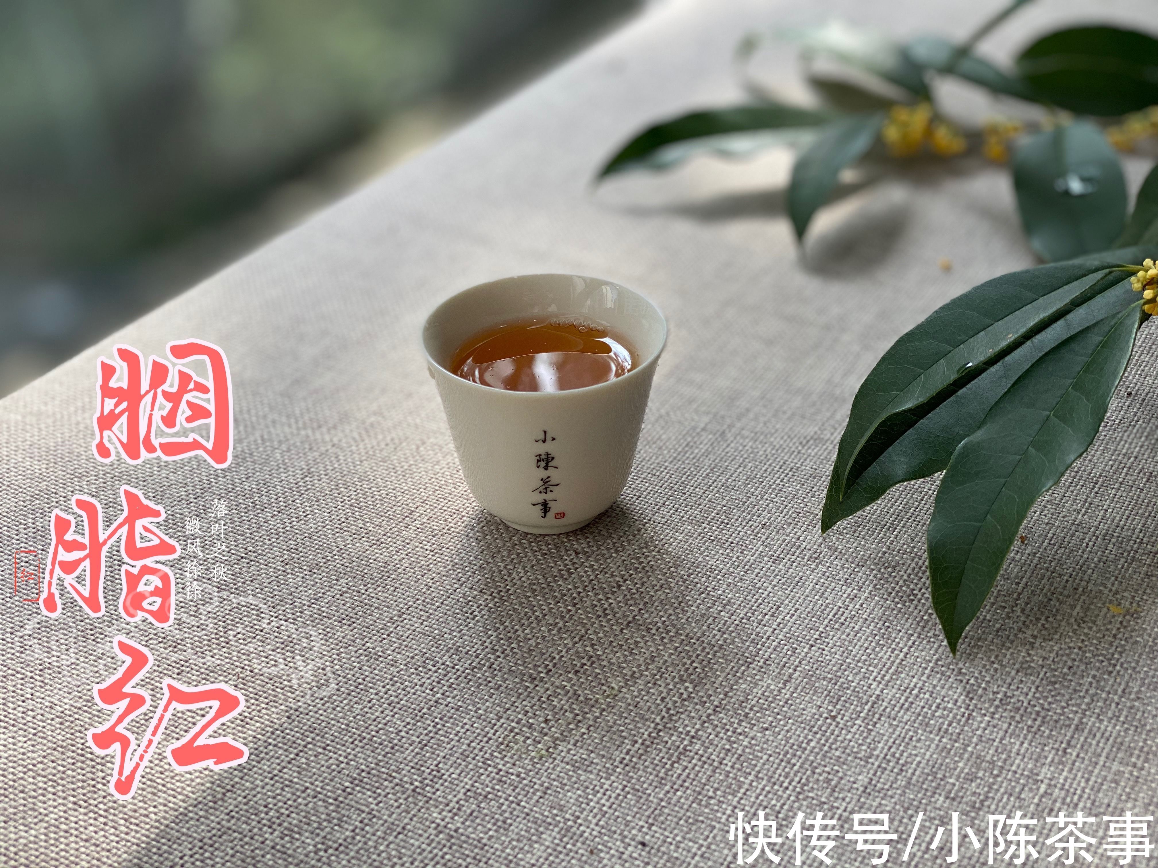 小种红茶、工夫红茶、红碎茶,谁才是煮红茶首选?谁不适合煮茶?