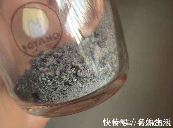 沙子|盆里埋点它，小虫子全没了，花越长越茂盛！
