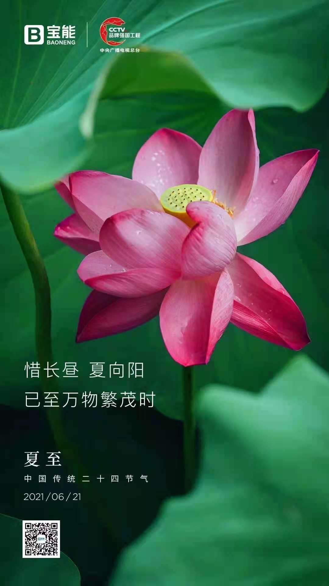 房企|票选｜夏日悠长！2021年夏至房企官宣海报大赏