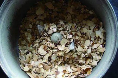 4种垃圾不会分类别担心,埋在花盆底,叶子绿得直滴油!