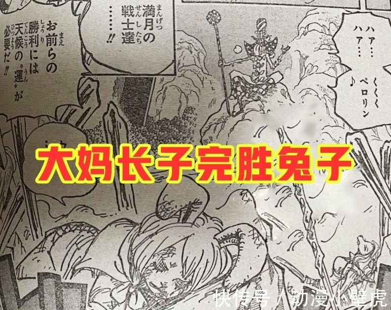 兔子|海贼王1006话:小马哥被烬斩落翅膀,豹五郎释放“生命归还”