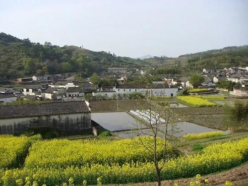 趁着花开，三四月份国内自驾走哪条线好耍呢