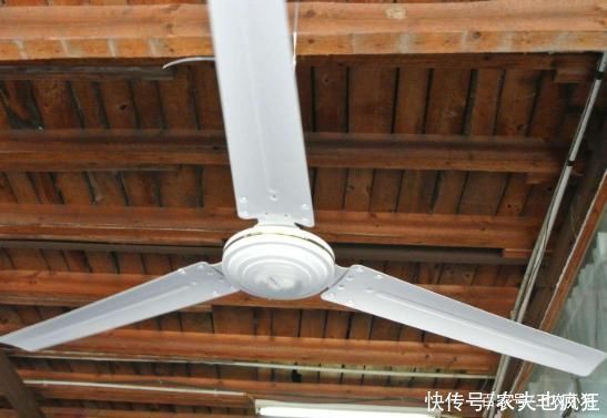 老照片|一组30年前农村的老照片,看看当时的人如何“消暑”,满满的回忆