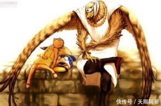 King|海贼王King的同族还有一人,实力要在King之上