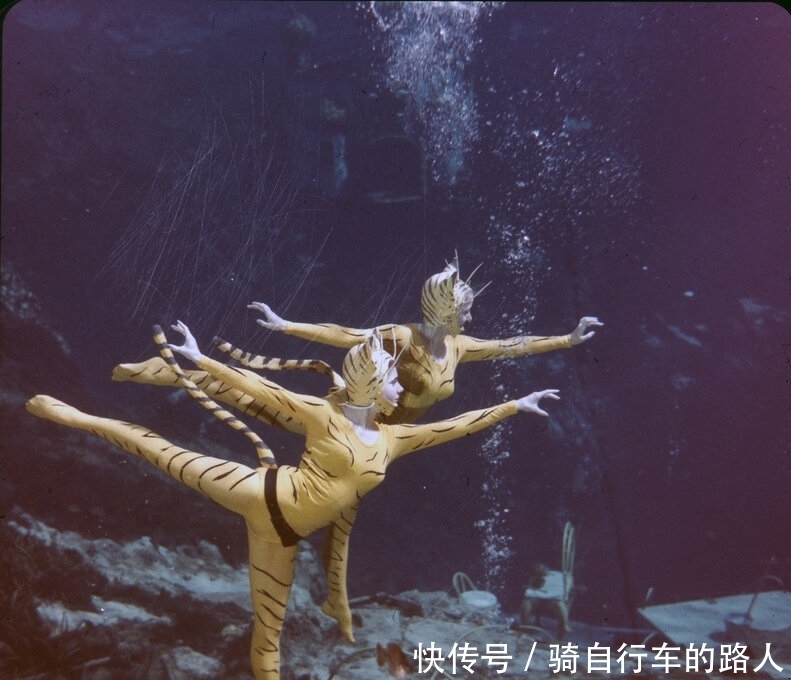 美丽|老照片 1959年美国水下舞蹈表演 美丽的美人鱼