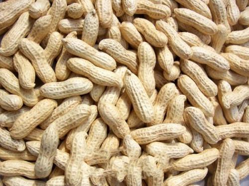 血压|花生配上一物，血压降了，记忆力增强了，看起来比同龄人更显年轻