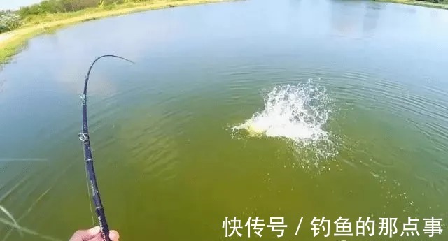 春钓鲫鱼,钓鱼点的河水有这几种“特征”,里面有大鱼群