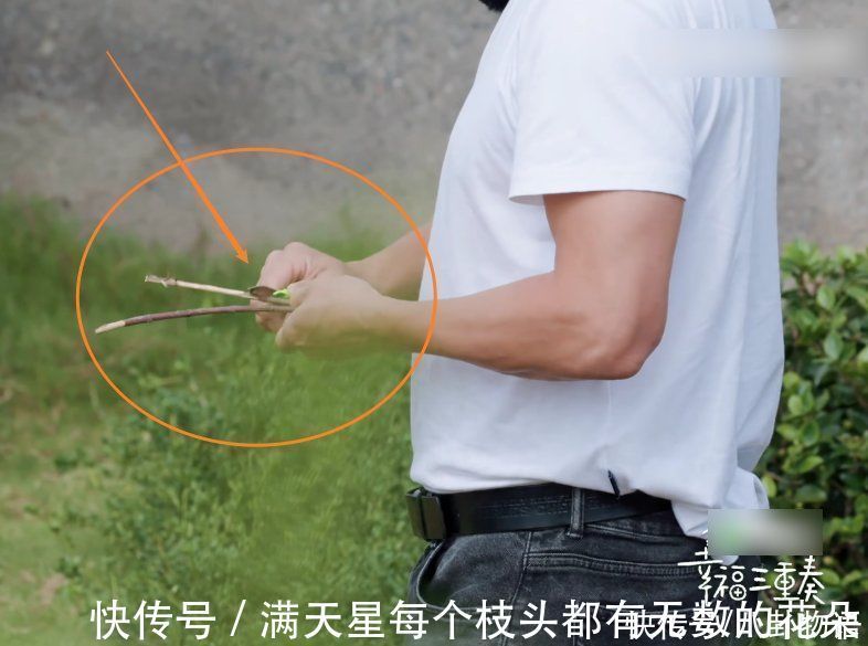 筷子|谢楠吃面没有筷子，谁注意吴京做出的举动？这波操作我只能说服了