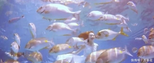 情侣海底拍婚纱照,新娘水里泡了4个小时,成片却极其梦幻