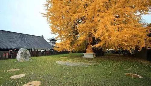 原来唐僧的通关文牒上写了这几句话!怪不得国王们都毕恭毕敬