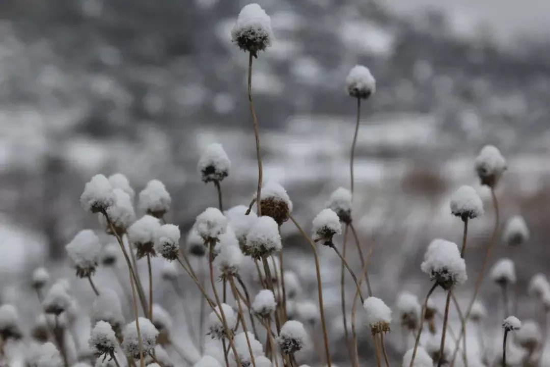 昆嵛山|一场冬雪后，昆嵛山竟变成这样……