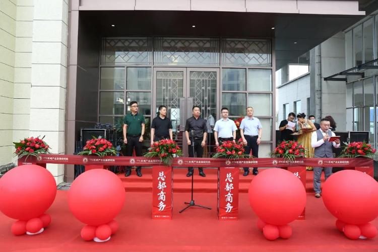 总裁|智者汇聚·如院以偿丨TTC区域产业发展研究院成立暨智汇谷总裁行馆盛妆绽放
