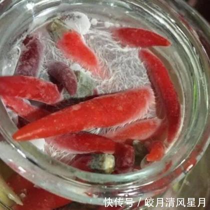 生花|泡菜坛总“生花”,原因主要在3点,教你1招轻松解决,早看早受益