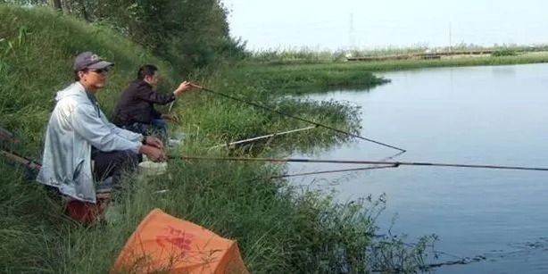 冬钓鲫鱼,有这4个技巧就够了,别搞得花里胡哨的