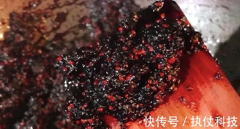 水果|白发最怕这水果,正是当季,每天吃点,头发乌黑亮丽,白发变少了