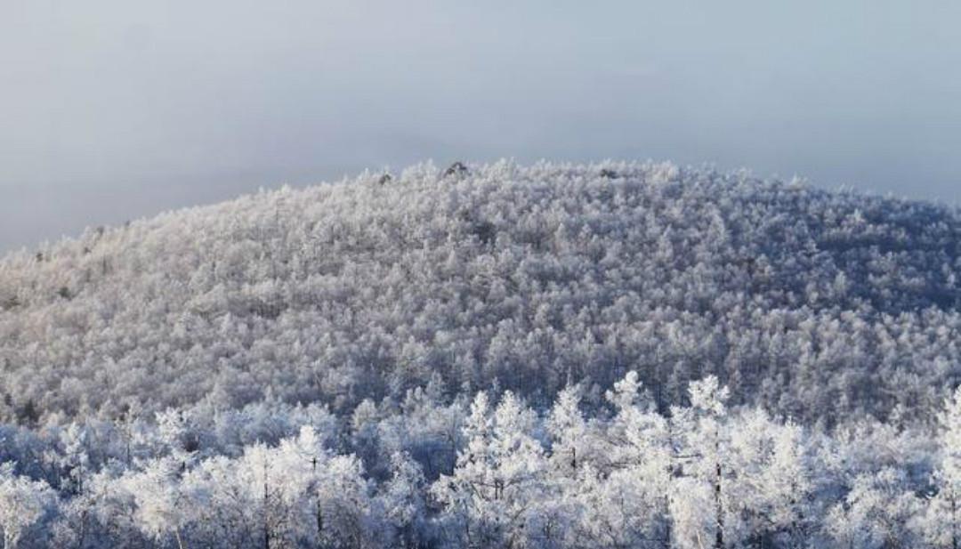  写出|杨万里两首绝美的咏雪诗，虽然有一些冷门，但是美得令人心醉