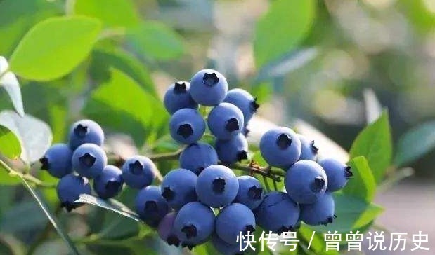 呵护|对眼睛最好3种的“食物”,隔三差五吃一点,助你恢复”好视力“