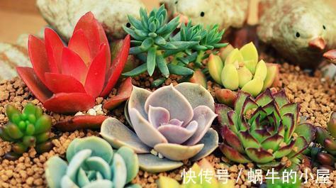 原来你也可以色的这么自然，色彩效果会非常震撼