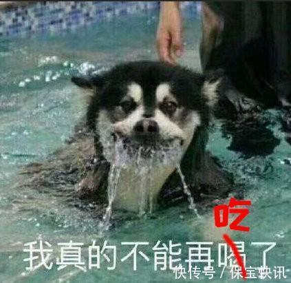 boss|一百份螺蛳粉威力有多大？灵笼官博：整个办公楼都像是厕所炸了