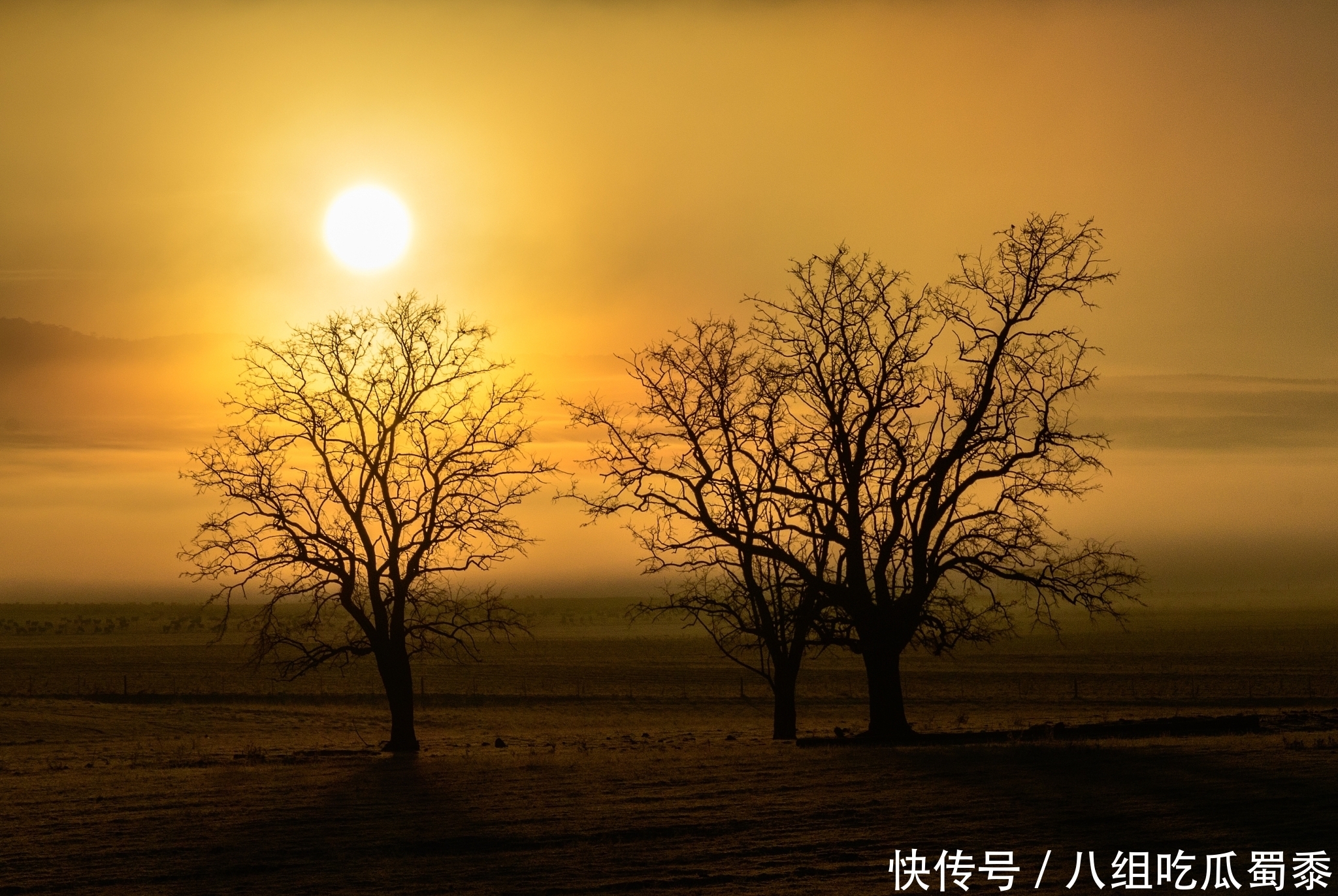 《老子》的智慧：放下，是聪明的选择，智慧的得到