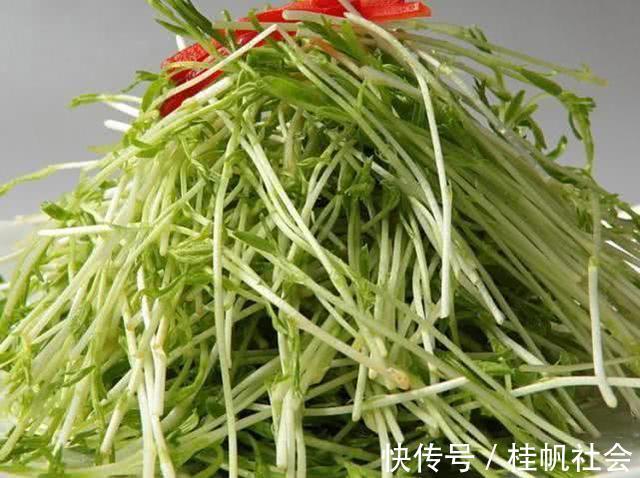 松柳苗|女性担心老太快,常吃3种食物,补充营养,滋阴养肾,早吃早好!