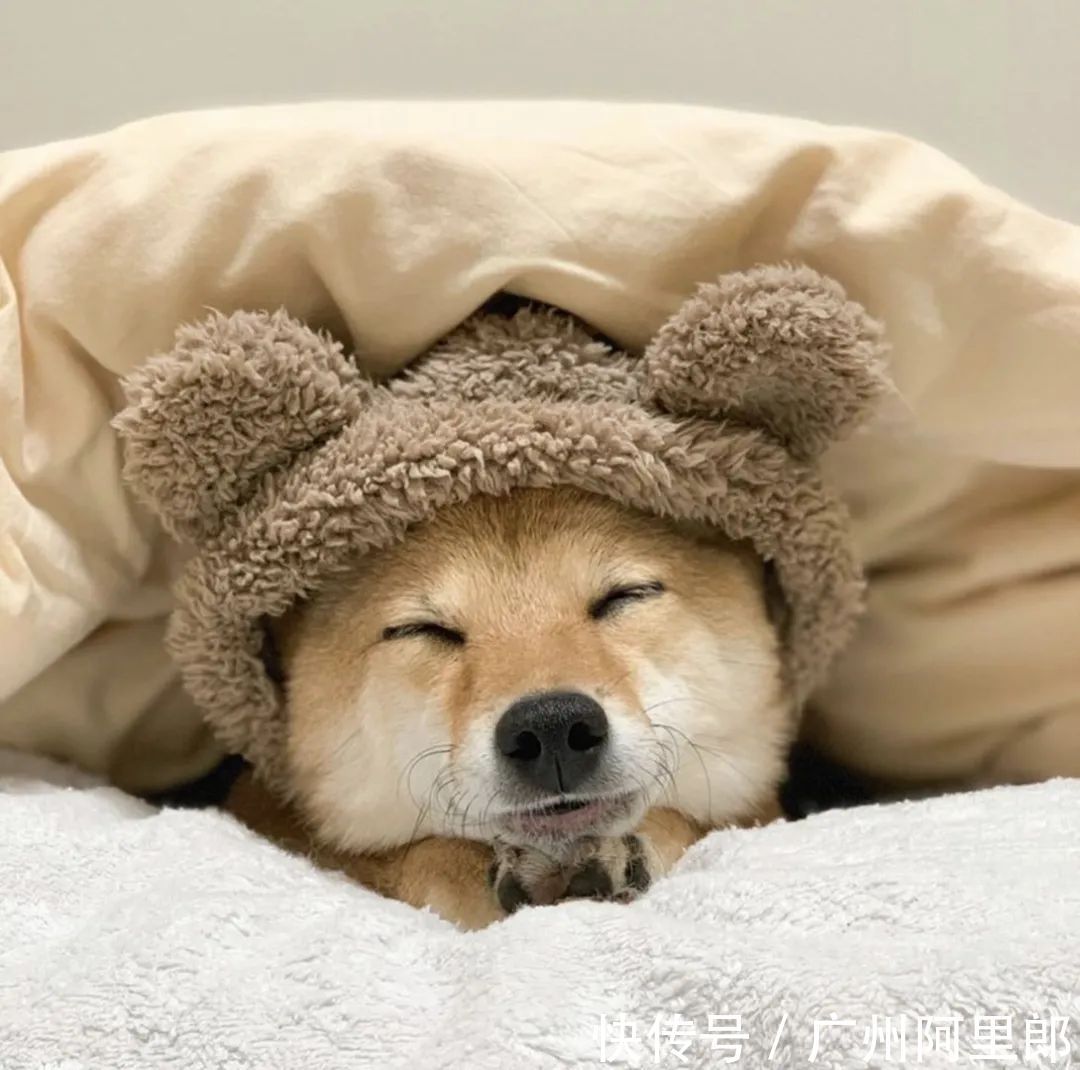 头皮|六个小妙招,头发变长不是梦