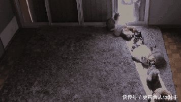  冬至|冬至前4天做这几件事，散掉身体1年的寒气