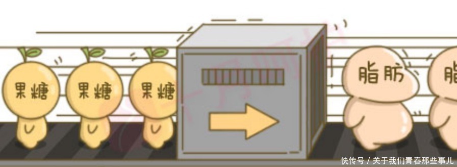 减肥|减肥时少吃这5种水果,3种高含糖量,2种高脂肪,热量比吃肉还高