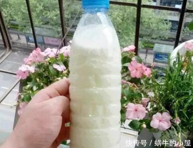 2种肥料,每家都有,养花最拿手,肥效是磷酸二氢钾的10倍