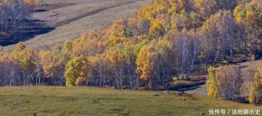 张骏|前凉的强盛——张骏的政治