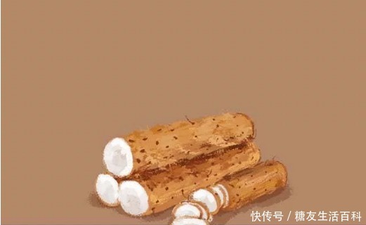 冬至一阳生,三九补一冬|二十四节气| 阳生