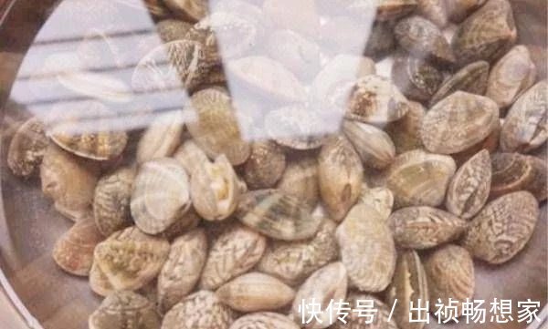 泥沙|泡花蛤时,多加一步,泥沙吐得干干净净,肉质紧缩无腥味!