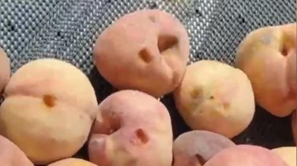 桃子|熊孩子把超市桃子全都戳上一个洞,网友真是妈妈的好“帮手”