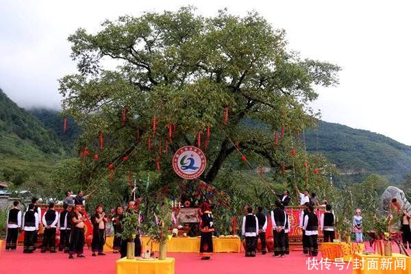 封面新闻|漾濞（yàng bì）怎么读？这里是茶马古道重镇，中国核桃之乡