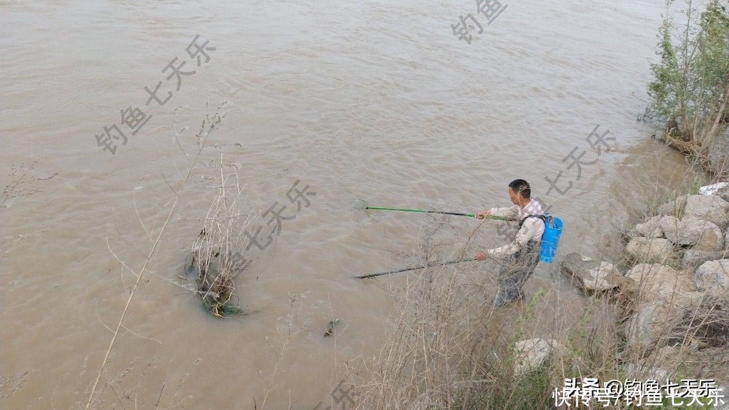 黄河无鱼之殇，电鱼者破坏力太大！千人钓鱼，抵不上电船扫一趟