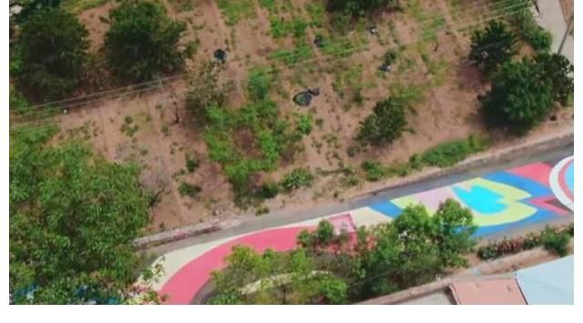 陈陈陈|孟子义被选为桃花坞新坞长，看似在开玩笑，其实是民心所向