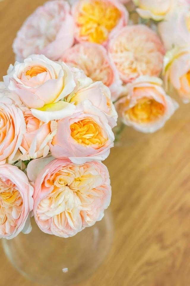 圆滚滚的绣球,瀑布般的花墙,这届花友也太会种花了吧