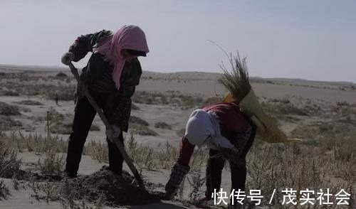 种树|阿里巴巴“晒出”一张照片，让用户心里不是滋味我们错怪马云了