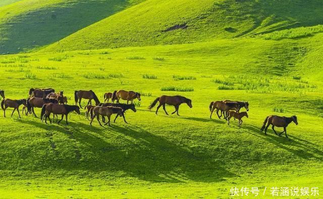 通车倒计时新疆最美公路即将开封，你准备好了吗思鹿旅行推荐