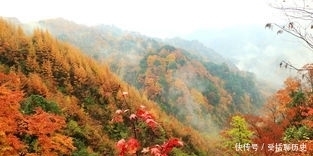 最是深秋时节落叶飘零水绵绵，四川真的是个宝地，风景美不胜收！