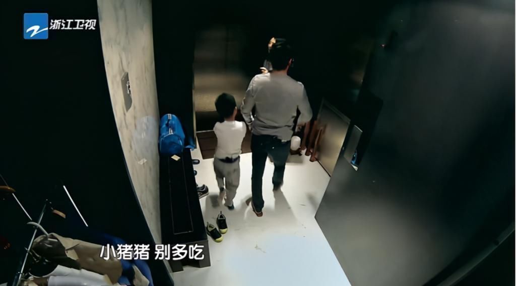 电梯|华谊总裁王中磊家,电梯入门,一进门就是金钱的“味道”