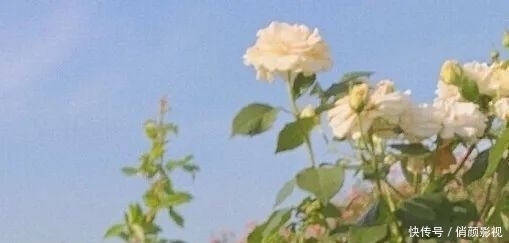 好看真的那么重要吗?