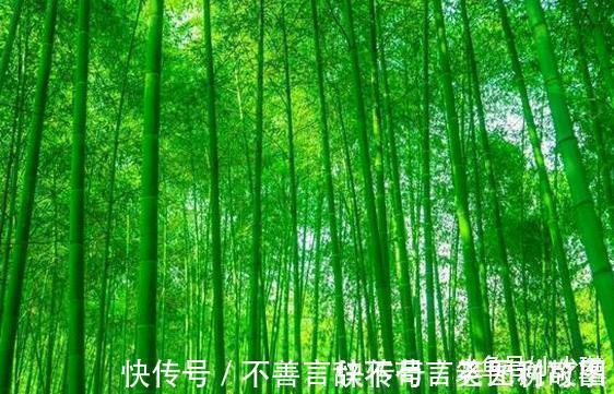 上联!千古绝对! 上联 井小却可吞日月, 下联经典到爆!