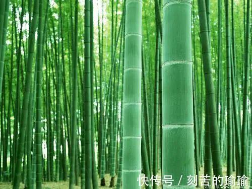 寇准$古人智慧15个机智又有趣对联故事！